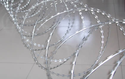 A coil of galvanized razor concertina wire on the ground