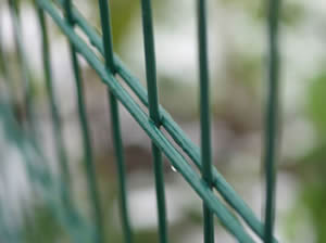 Green double wire 868 mesh panel